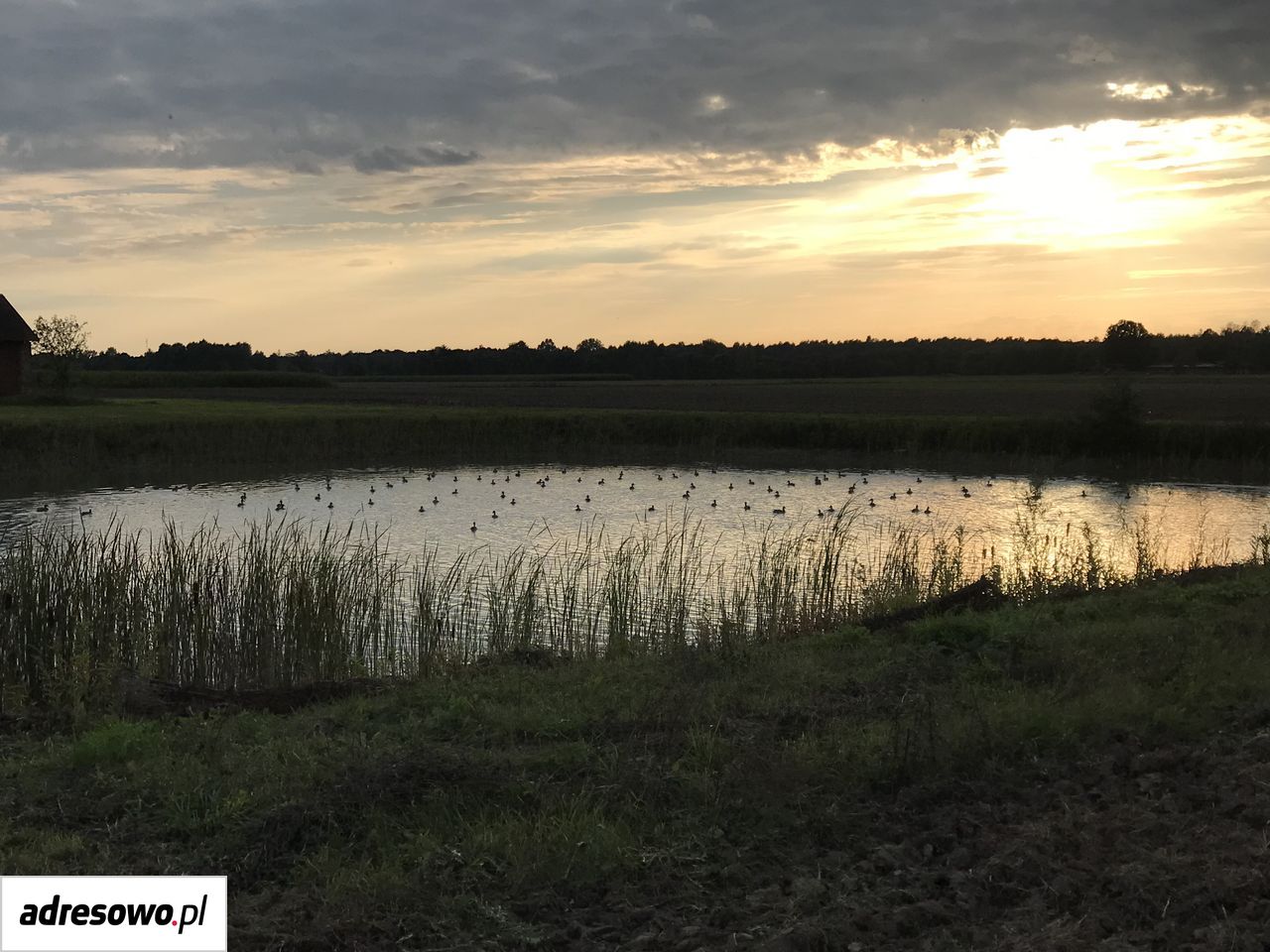 Działka budowlana Ładzyń. Zdjęcie 7