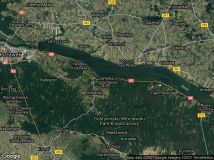 Działka leśna Wistka Szlachecka. Zdjęcie 1