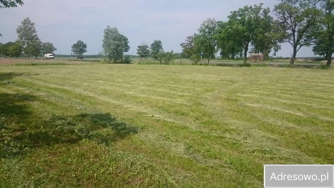 Działka siedliskowa Roztropna. Zdjęcie 3