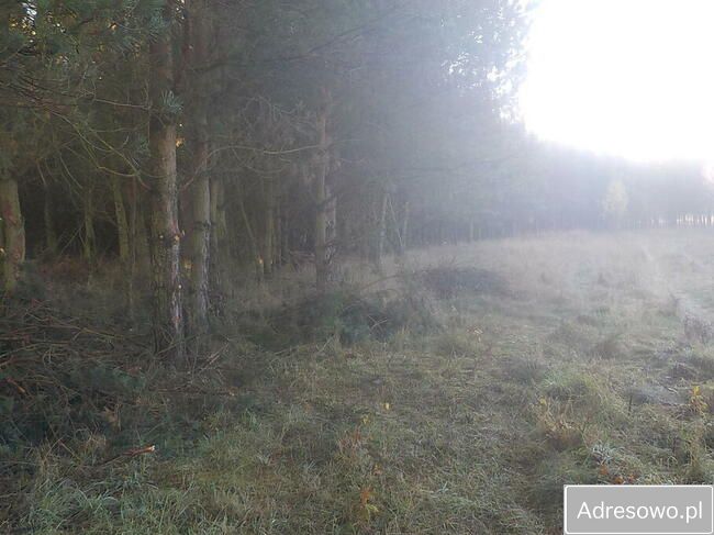 Działka Ludowice. Zdjęcie 6