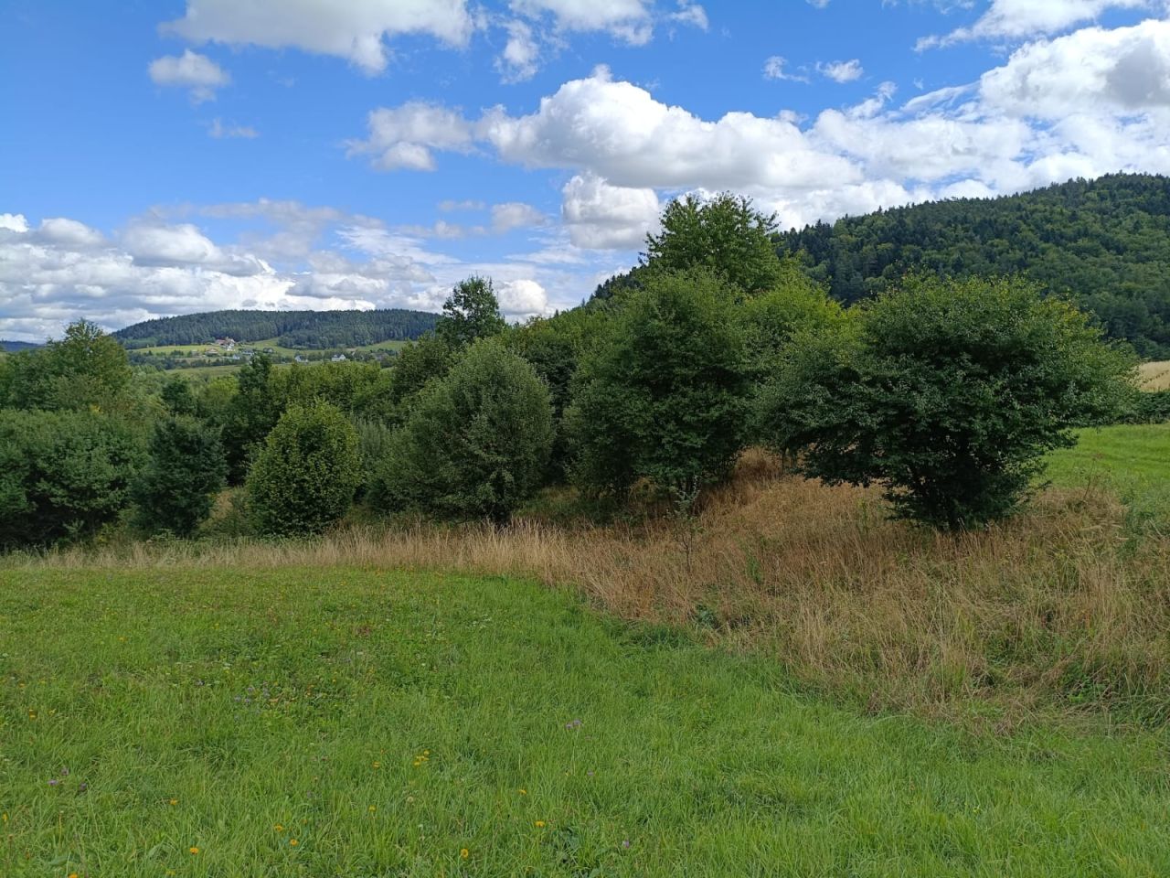 Działka inwestycyjna Florynka. Zdjęcie 13