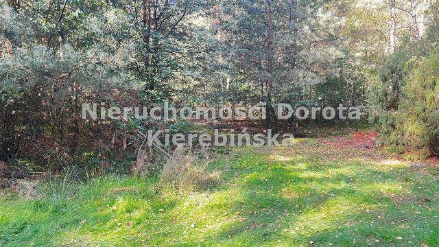 Działka rekreacyjna Bronisławów. Zdjęcie 7