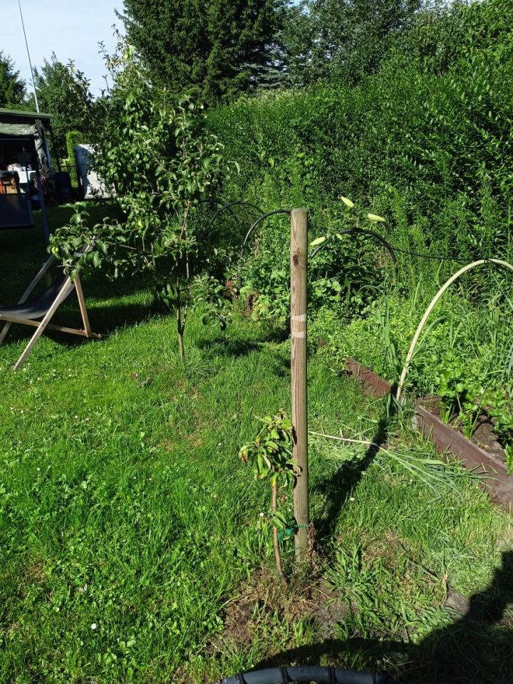 Działka rod Żyrardów, ul. Adama Mickiewicza. Zdjęcie 2