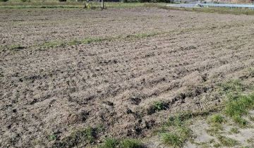 Działka budowlana Rokitnica