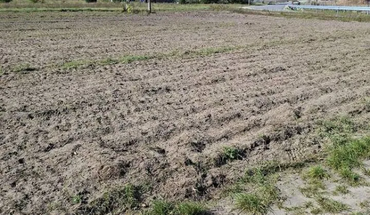 Działka budowlana Rokitnica