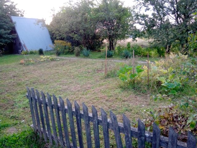 Działka rod Jarosław, ul. Pogodna. Zdjęcie 1