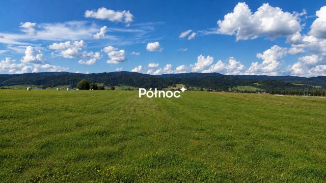 Działka rolna Ostrowsko. Zdjęcie 2
