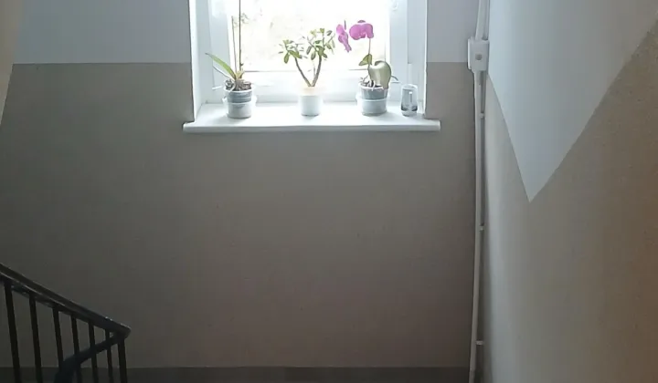 Mieszkanie 1-pokojowe Słubice, 1-go Maja
