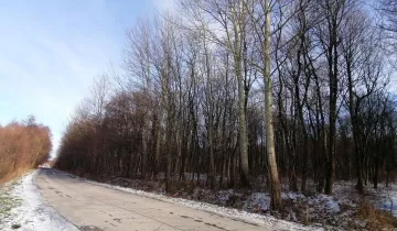 Działka na sprzedaż bez pośredników          
          
            Grabce-Towarzystwo - Widok 4