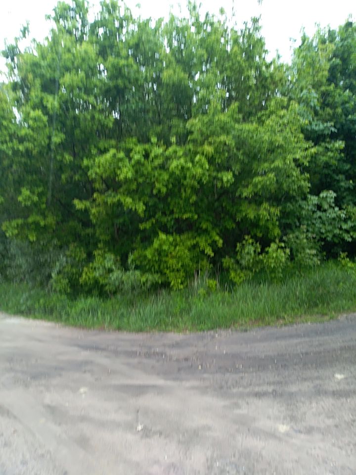 Działka budowlana Włocławek Zawiśle , ul. Stroma. Zdjęcie 4