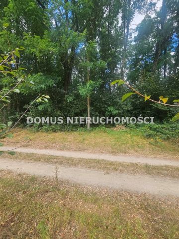 Działka leśna Nagawki. Zdjęcie 4