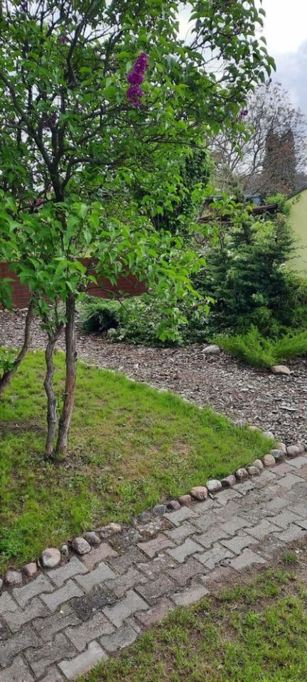 Działka rod Zielona Góra. Zdjęcie 7