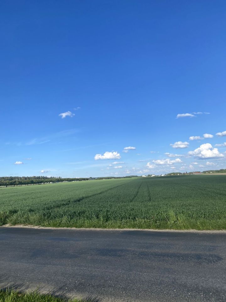 Działka rolna Konarskie. Zdjęcie 4