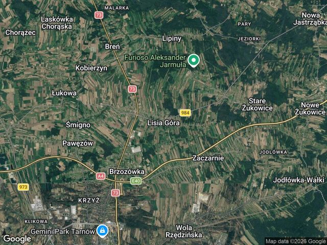 Działka inwestycyjna Lisia Góra, bez nazwy. Zdjęcie 1