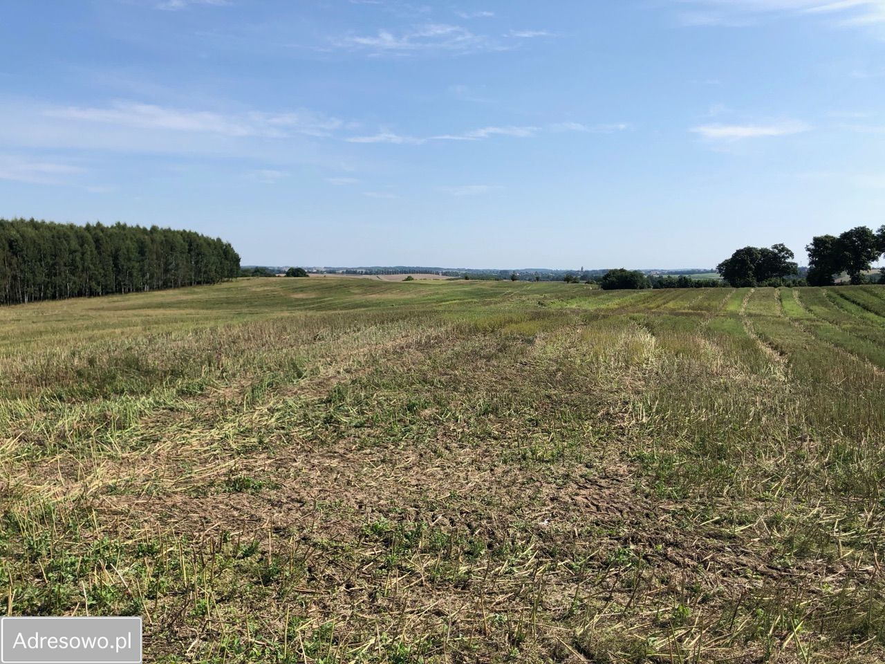Działka rolna Lekity. Zdjęcie 17