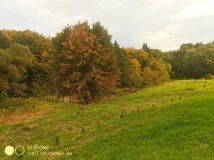 Działka rolno-budowlana Golcowa. Zdjęcie 1