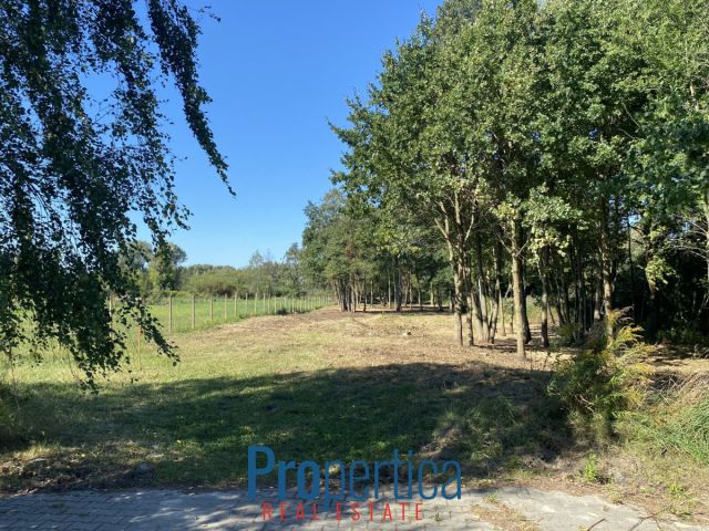 Działka budowlana Nowa Wieś, ul. Wandy. Zdjęcie 4