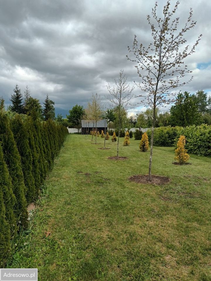 Działka budowlana Dębówka. Zdjęcie 7