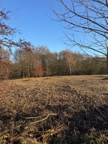 Działka siedliskowa Malczów. Zdjęcie 1