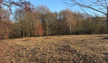 Działka siedliskowa Malczów