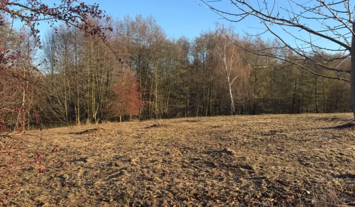 Działka siedliskowa Malczów