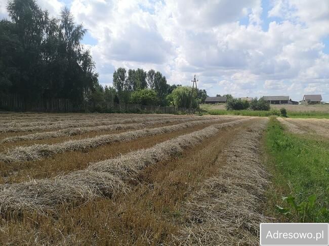dom wolnostojący, 5 pokoi Bidziny. Zdjęcie 14