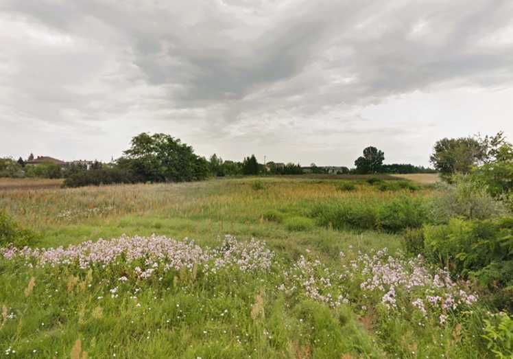 Działka budowlana Skulsk, ul. dr. Michała Ilczyszyna. Zdjęcie 4