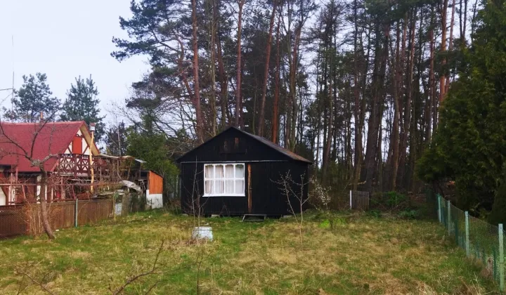 Działka rod Gdańsk Owczarnia, ul. Owczarnia