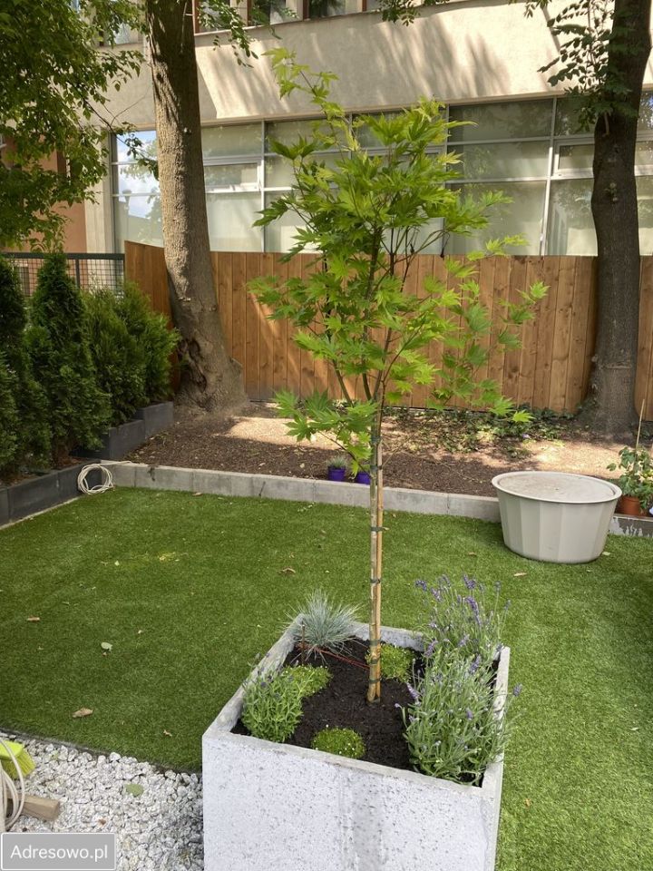 Mieszkanie 2-pokojowe Kraków Salwator, ul. gen. Tadeusza Kościuszki. Zdjęcie 10