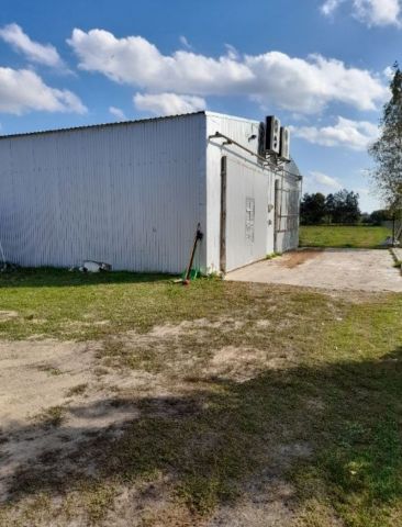 Hala/magazyn Niwiski. Zdjęcie 1