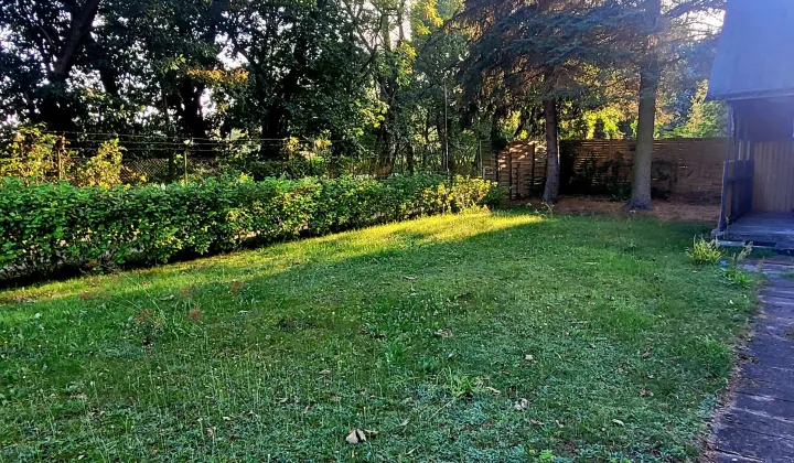 Działka rod Walendów, ul. Brzozowa