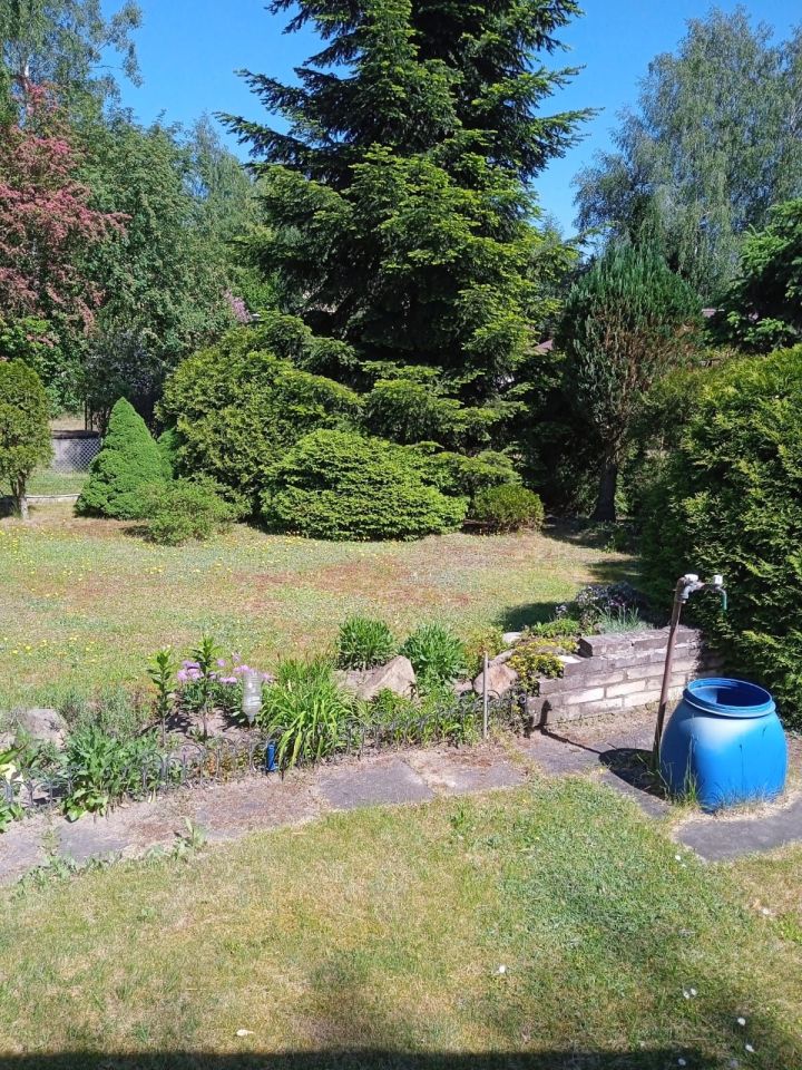 Działka rod Łódź Bałuty, ul. Hodowlana. Zdjęcie 2