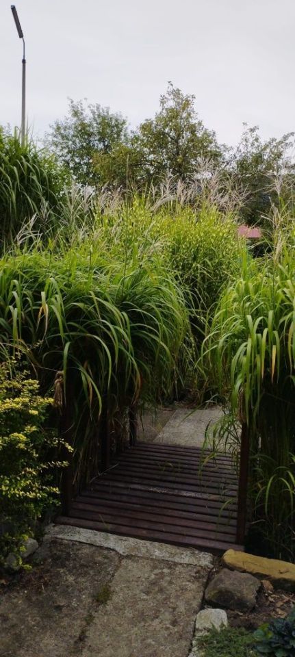 Działka rod Mielec. Zdjęcie 4