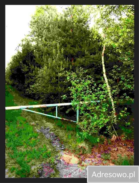 Działka rolna Ostrowo. Zdjęcie 2