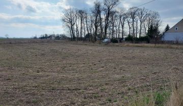 Działka budowlana Grzywna Domena, ul. Klonowa