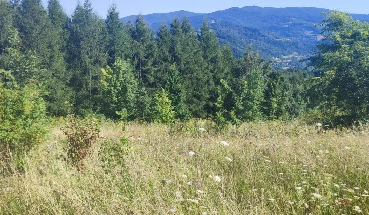 Działka rolno-budowlana Jazowsko Turchałówka