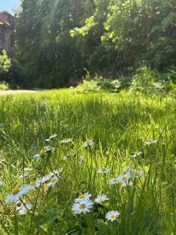 Mieszkanie 4-pokojowe Piotrowice. Zdjęcie 28