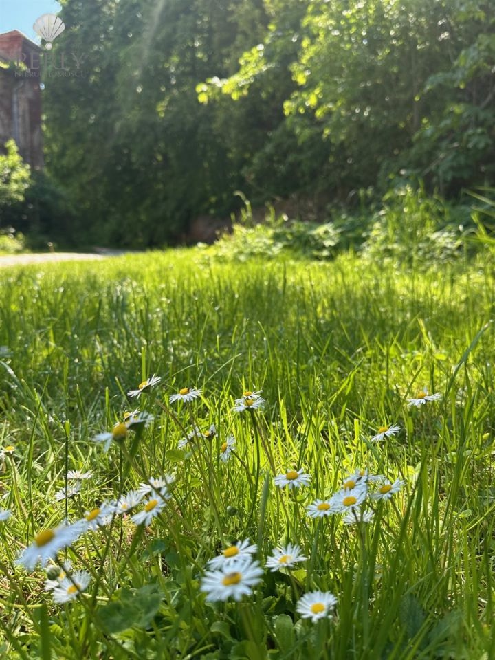 Mieszkanie 4-pokojowe Piotrowice. Zdjęcie 28