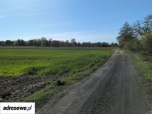Działka rolna Pawłowice. Zdjęcie 2