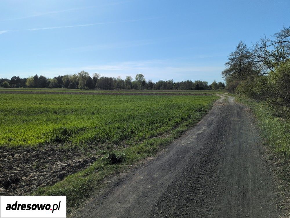 Działka rolna Pawłowice. Zdjęcie 3