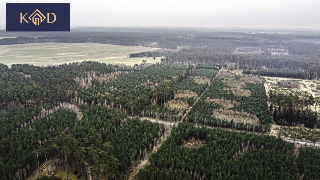 Działka inwestycyjna Dąbrowa Nowa. Zdjęcie 18