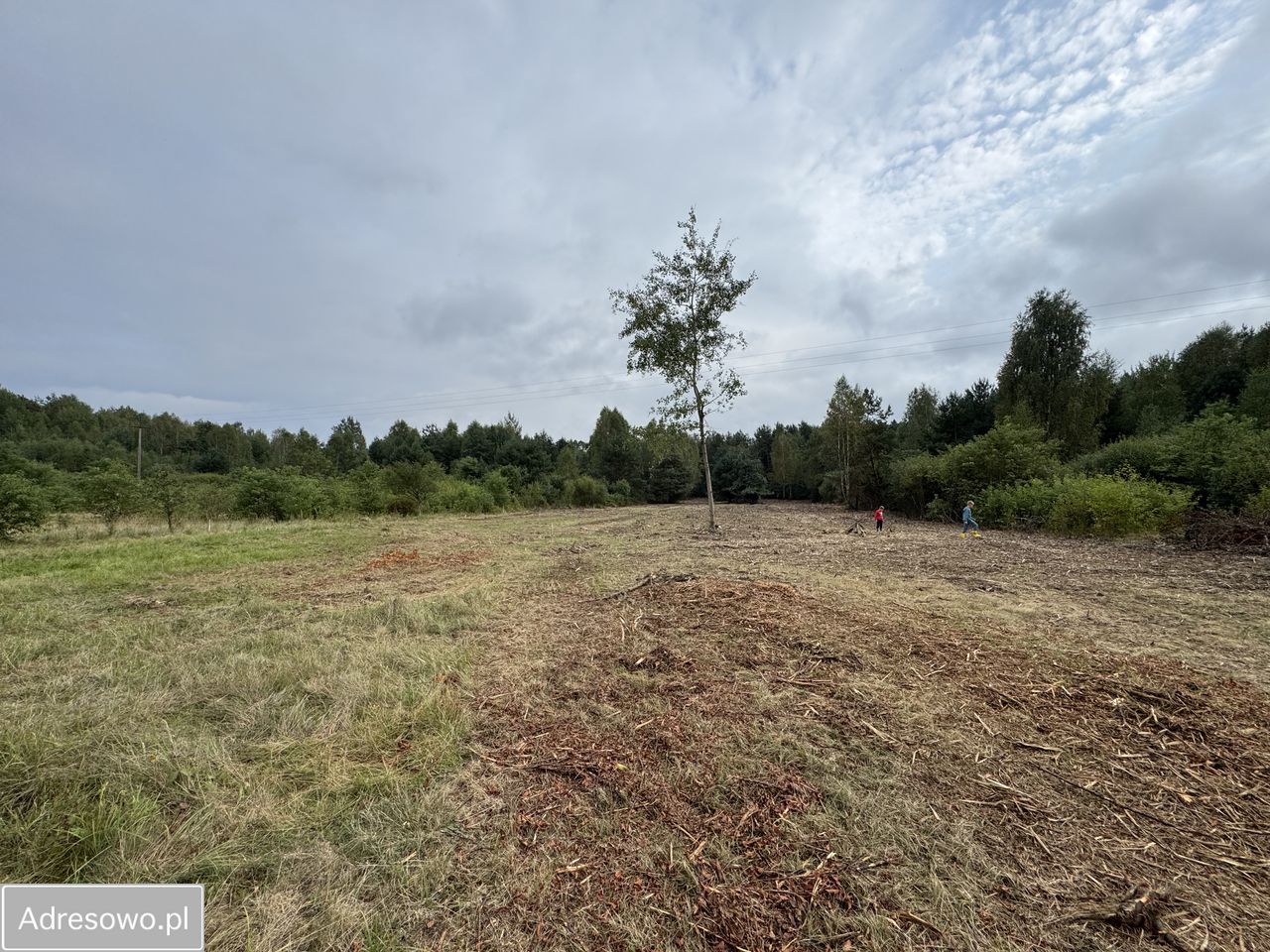 Działka rolno-budowlana Rogowice. Zdjęcie 8