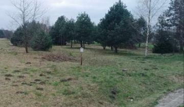 Działka rolna Dobrynin