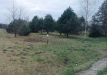 Działka rolna Dobrynin. Zdjęcie 1