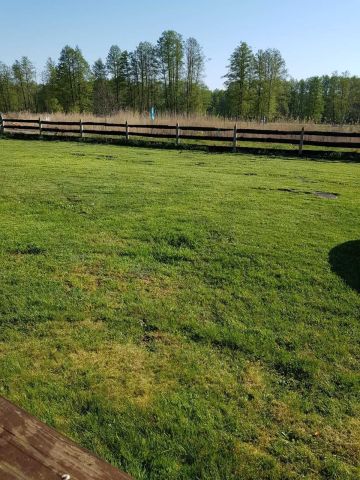 Działka rekreacyjna Szczechy Małe. Zdjęcie 4