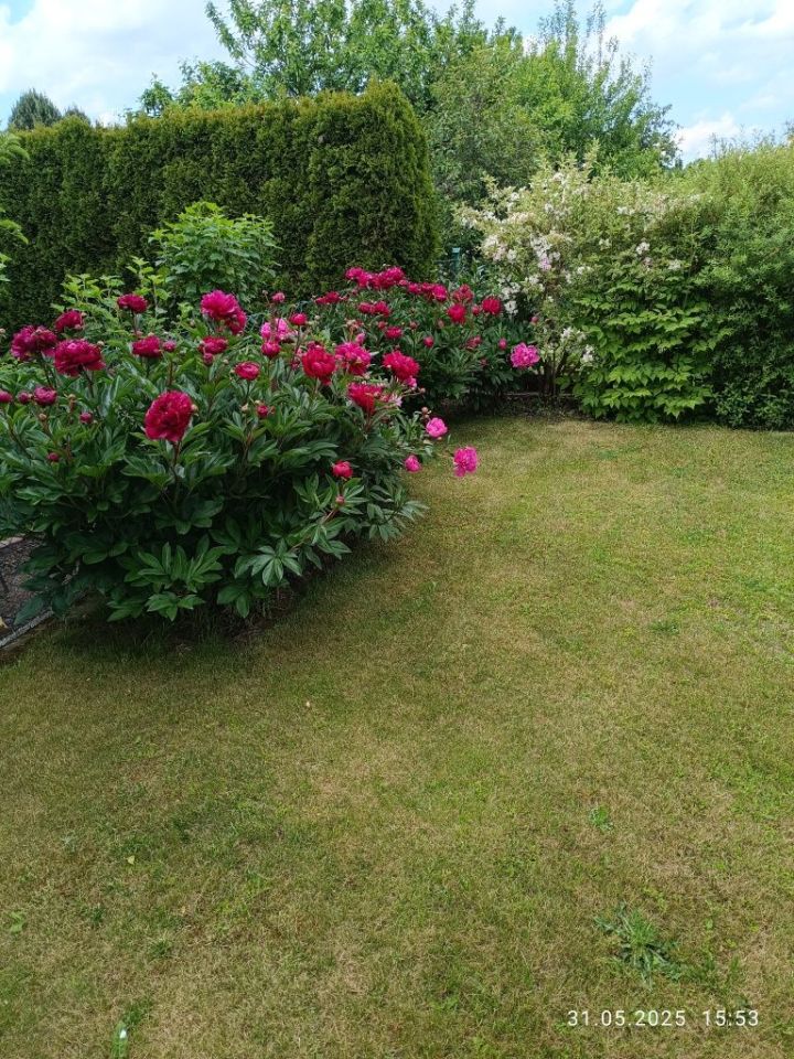 Działka rod Świdnica, ul. Komunalna. Zdjęcie 7