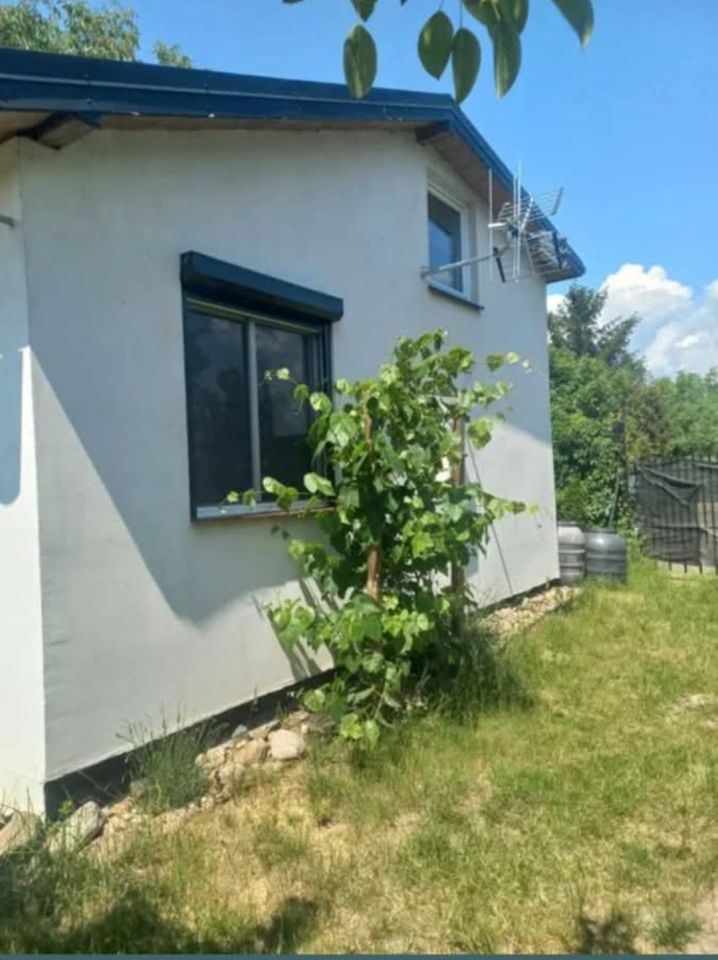 Działka rod Włocławek. Zdjęcie 1