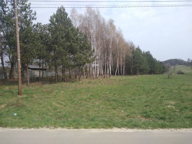Działka rolno-budowlana Suliszowice Szczypie. Zdjęcie 1
