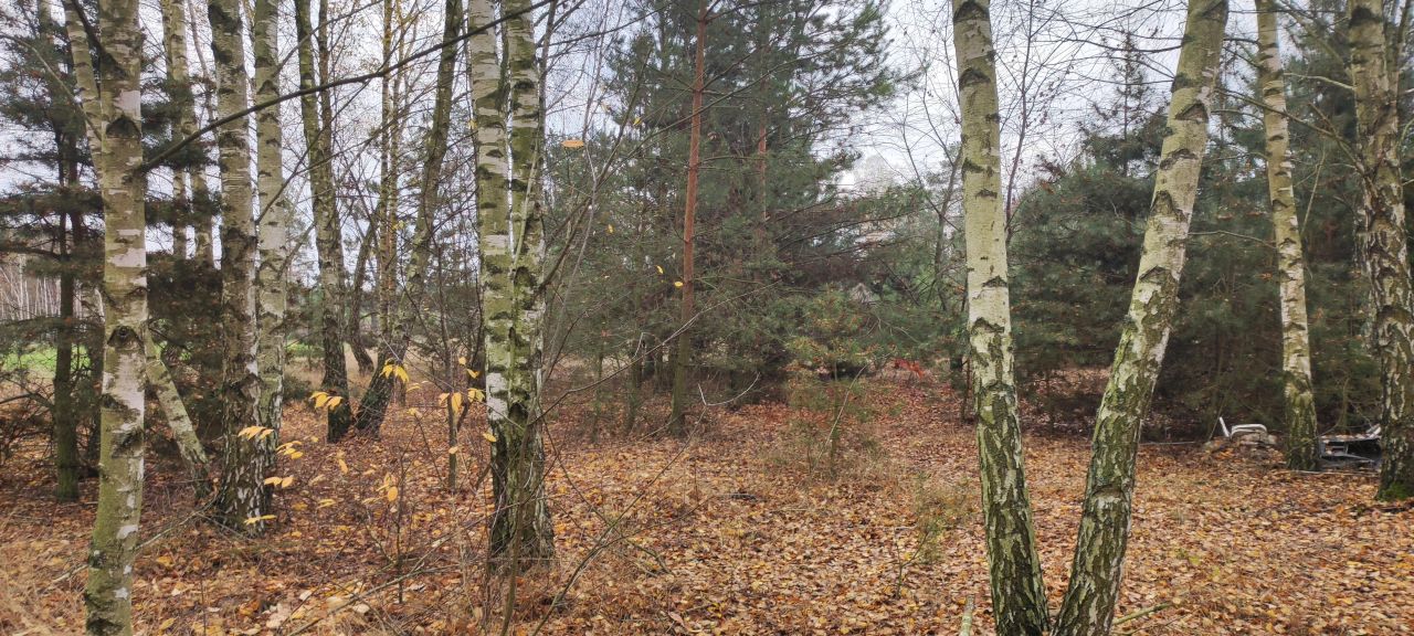 Działka rolna Osada-Wola. Zdjęcie 10