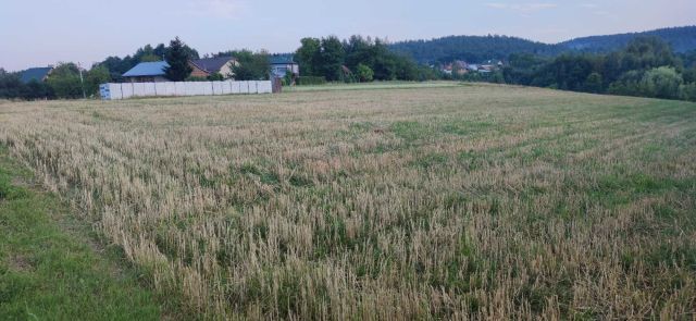 Działka rolno-budowlana Cierpisz. Zdjęcie 1
